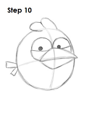 Draw Blue Angry Bird Step 10 Draw Blue Angry Bird Step 10