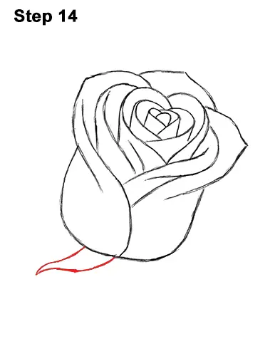 how to draw a rose