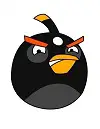 Draw Black Angry Bird