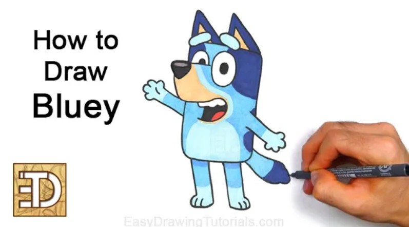 Add Any Finishing Touches, and You're Done! Bluey Final Drawing