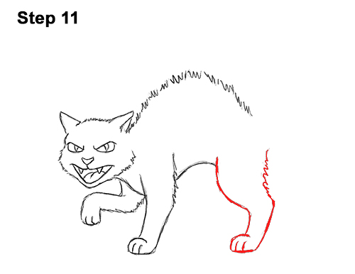 Draw a Angry Cartoon Black Cat 11 How to Draw Angry Mean Halloween Cartoon Black Cat arched back 11