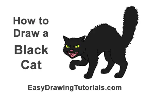 How to Draw a Black Cat for Halloween VIDEO &amp; StepbyStep Pictures