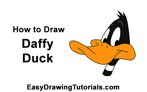 Draw Daffy Duck Head How to Draw Daffy Duck Head Looney Tunes