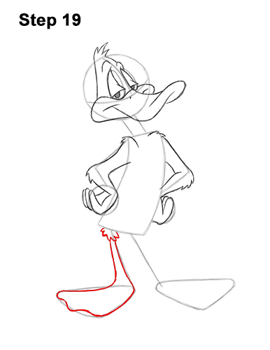 Draw Daffy Duck Full Body 19 How to Draw Daffy Duck Full Body Looney Tunes 19