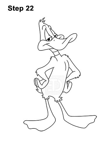 Draw Daffy Duck Full Body 22 How to Draw Daffy Duck Full Body Looney Tunes 22