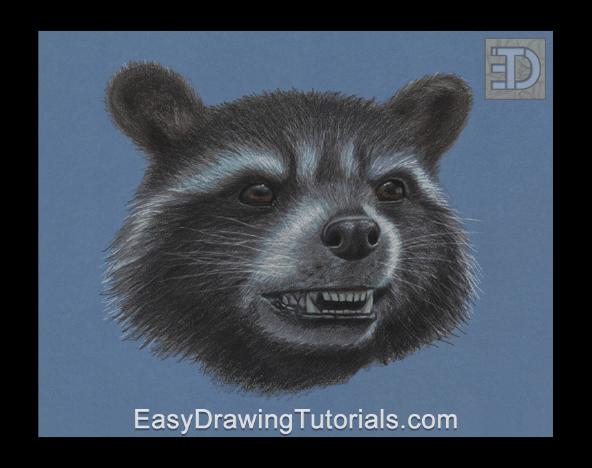 Rocket Raccoon Rocket Raccoon Special Portrait Drawing
