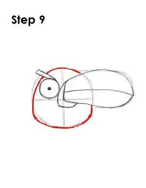 Draw Green Angry Bird Step 9