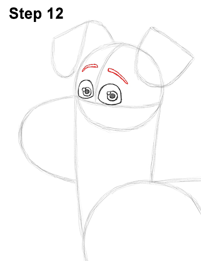 Max Secret Life Pets Drawing 12 Draw Max Secret Life of Pets 12