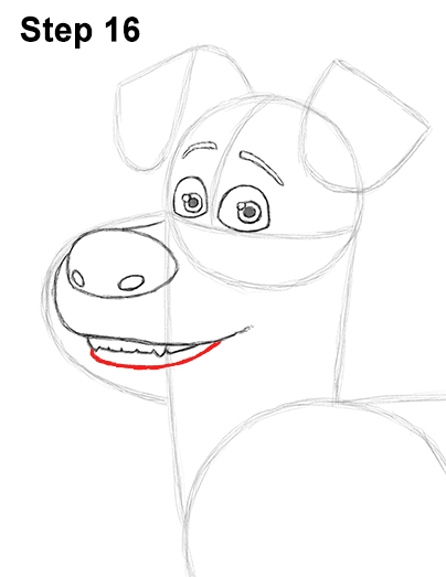 Max Secret Life Pets Drawing 16 Draw Max Secret Life of Pets 16