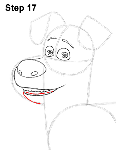 Max Secret Life Pets Drawing 17 Draw Max Secret Life of Pets 17