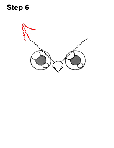 Draw a Cartoon Owl 6 How to Draw Cute Cartoon Owl Chibi 6