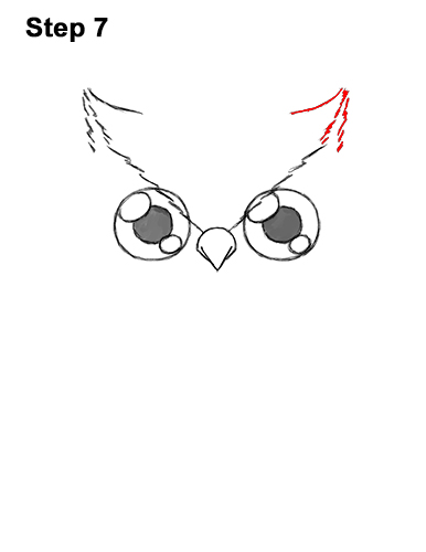 Draw a Cartoon Owl 7 How to Draw Cute Cartoon Owl Chibi 7