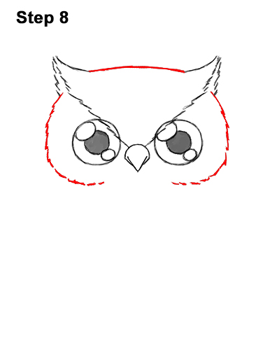 Draw a Cartoon Owl 8 How to Draw Cute Cartoon Owl Chibi 8