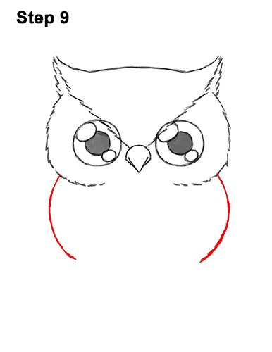 Draw a Cartoon Owl 9 How to Draw Cute Cartoon Owl Chibi 9