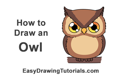 Draw a Cartoon Owl How to Draw Little Baby Small Cute Cartoon Owl Chibi Manga
