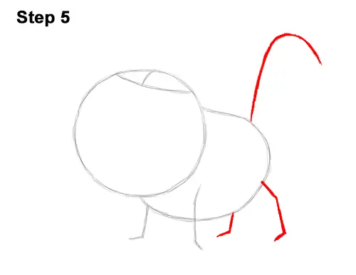How to Draw Pumbaa Pumba Pig Warthog Lion King Disney 5