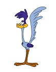 How to Draw Roadrunner Loone Tunes Full Body