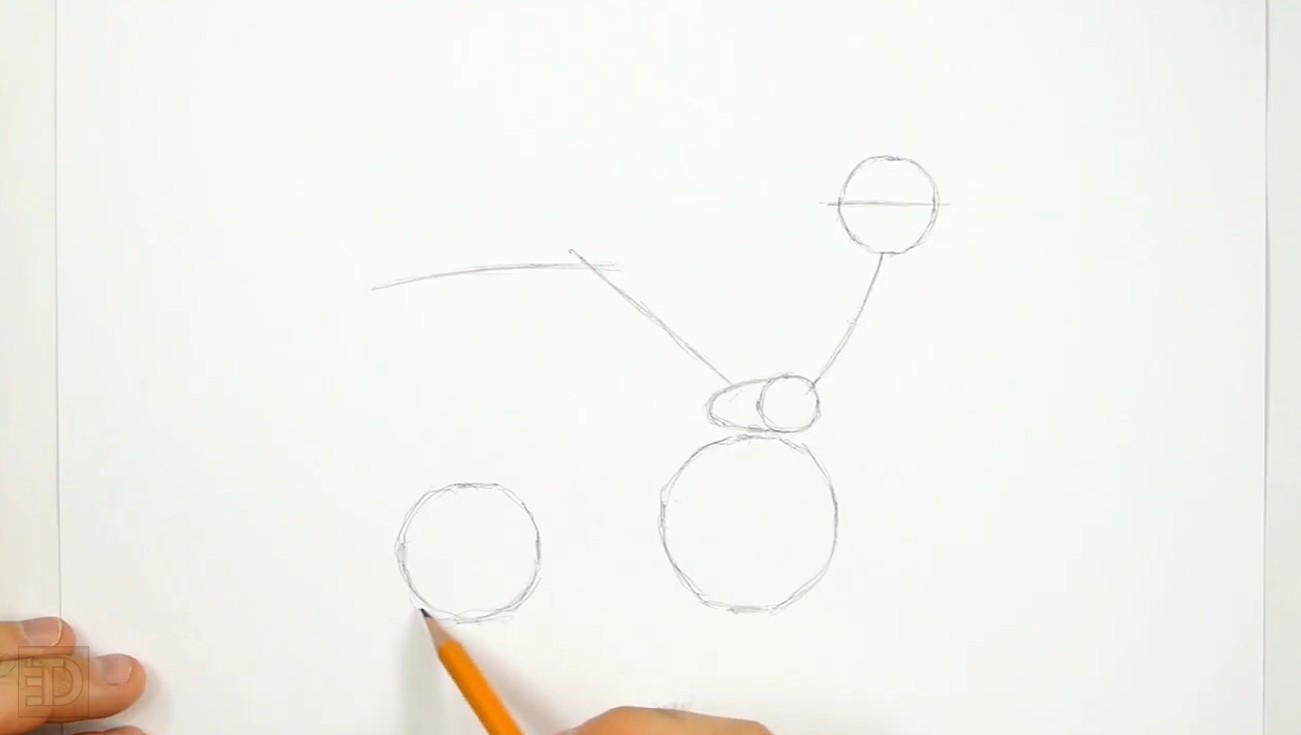 Draw Roadrunner Initial Sketch How to Draw Roadrunner Guidelines