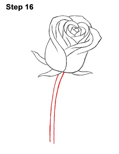 Pics Of Roses To Draw, How to Draw a Rose in a Few Easy Steps | Easy Drawing Guides : 960x960 lozzy bones tudor rose illustration art macabre drawing.