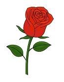 How to Draw a Red Rose