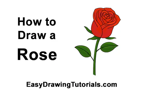 How To Draw A Rose Easy Drawing Tutorials