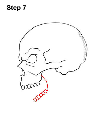 How to Draw a Scary Creepy Evil Skull Side View Halloween 7