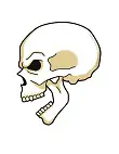 How to Draw Scary Halloween Skull Side View