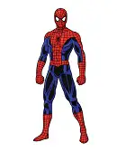 How to Draw Spider-Man Full Body Front