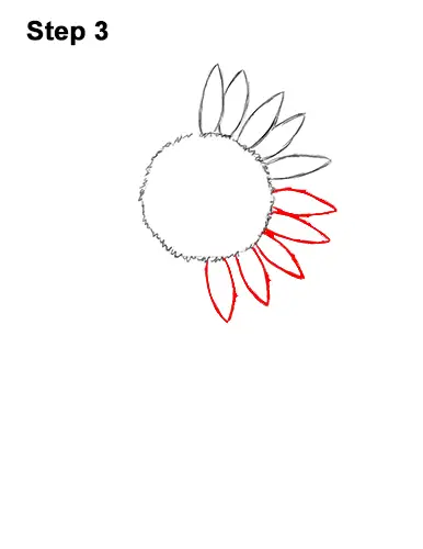 How to a Draw Cartoon Yellow Flower Sunflower 3