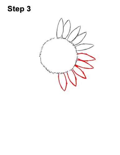 How To Draw A Sunflower Video Step By Step Pictures
