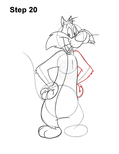 How to Draw Sylvester Cat Looney Tunes Full Body 20