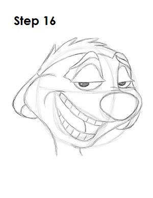 How to Draw Timon 16 How to Draw Timon Step 16