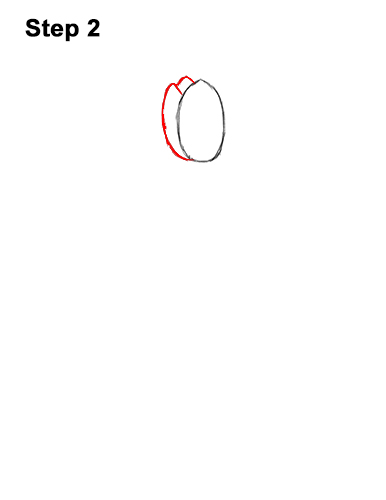 How to Draw Cartoon Pink Flowers Tulips 2