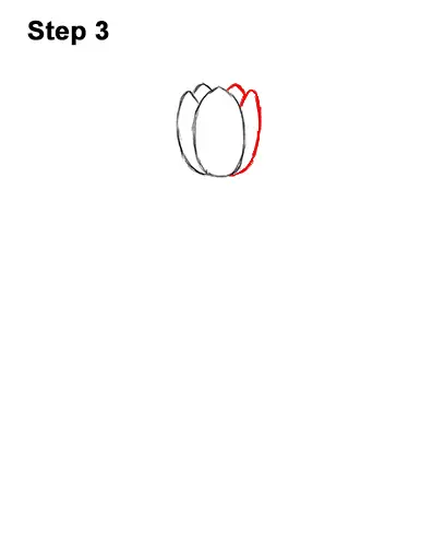How to Draw Cartoon Pink Flowers Tulips 3