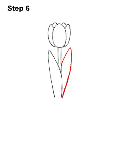 How to Draw Cartoon Pink Flowers Tulips 6