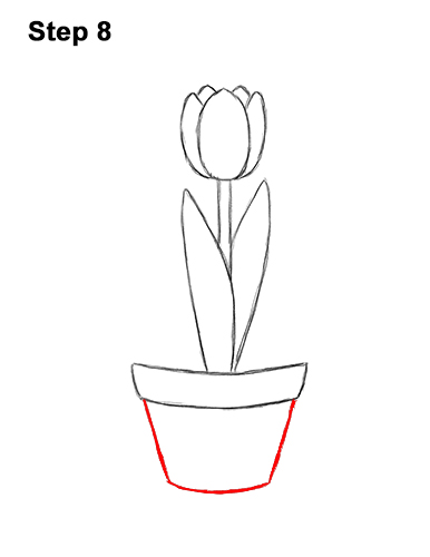 How to Draw Cartoon Pink Flowers Tulips 8