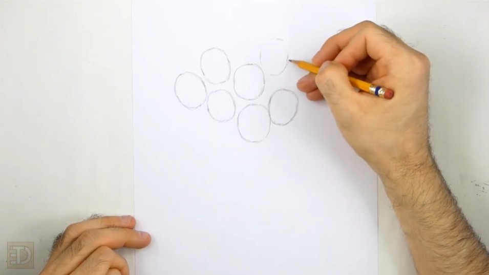 Place the Flowers with Ovals Place the Flowers with Ovals