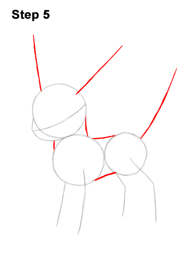 How to Draw Umbreon Pokemon 5
