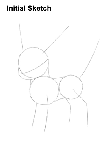 Draw Umbreon Pokemon Guidelines How to Draw Umbreon Pokemon Guides Lines
